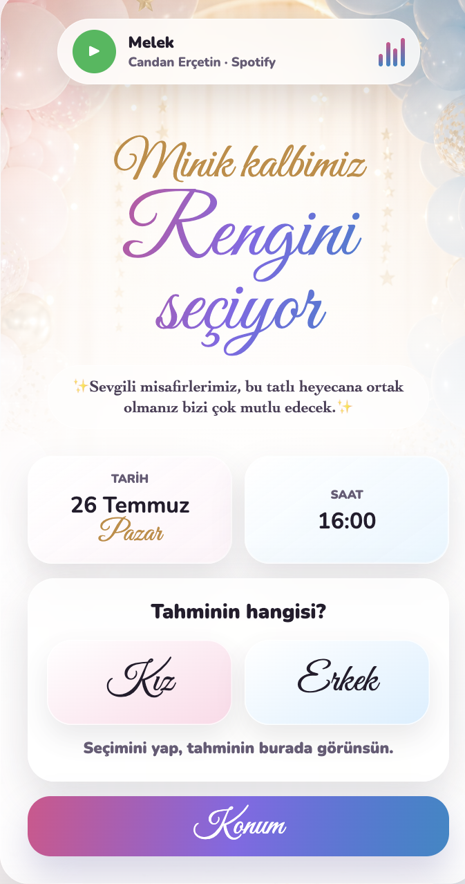 Cinsiyet partisi davetiyesi ikinci örnek